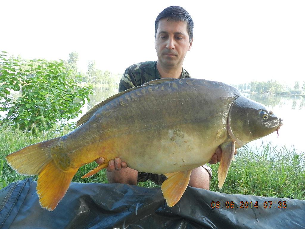 carpfishing 08/05/2014 - dscn2664.JPG